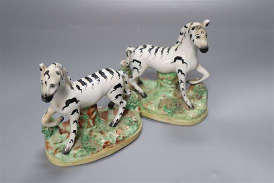 A pair of Victorian Staffordshire zebra, width 11cm